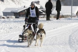 Lenk 2012 SM